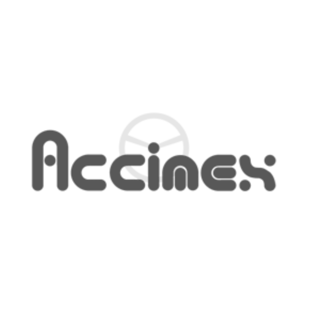 Logo Accimex